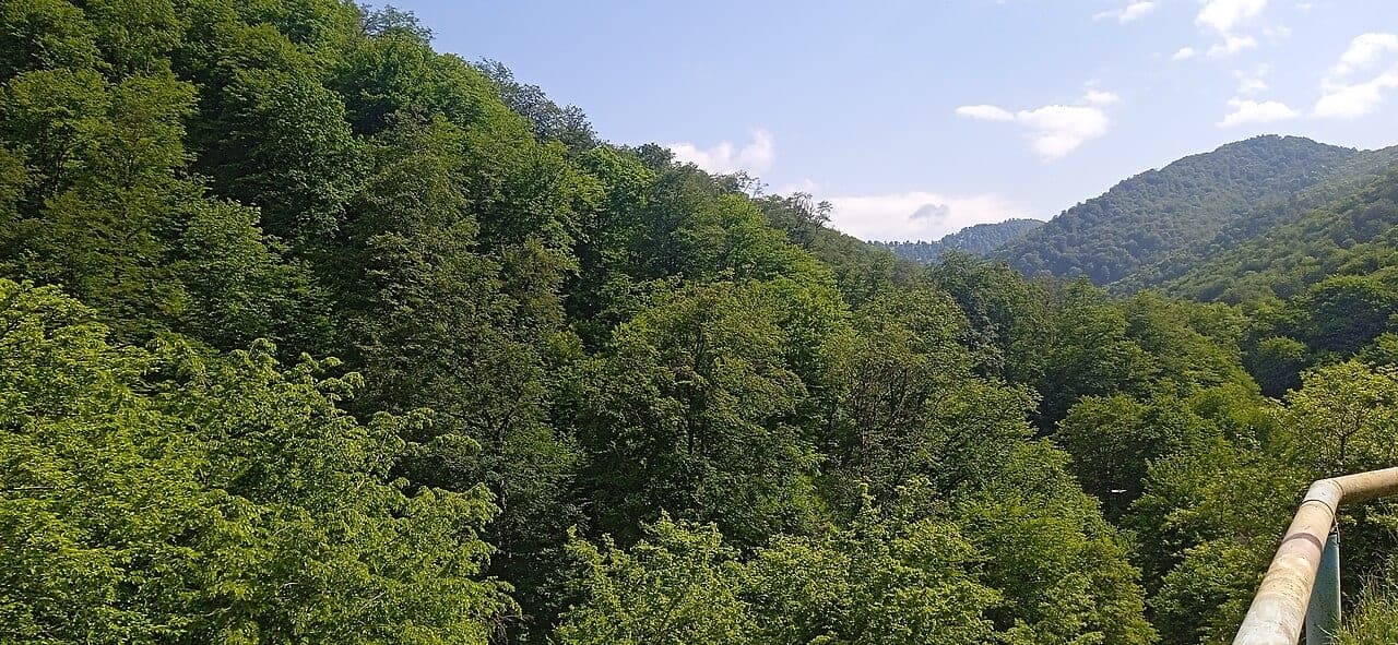 Tovuz