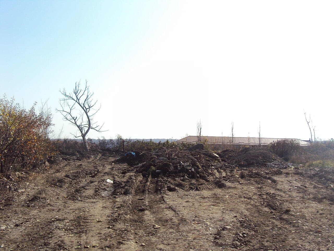 Qusarda kənd qonaq evi