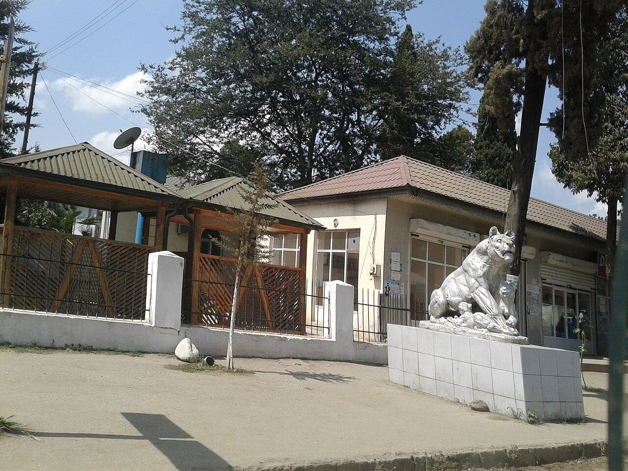 Lənkəran Çay Bağları Təcrübəsi