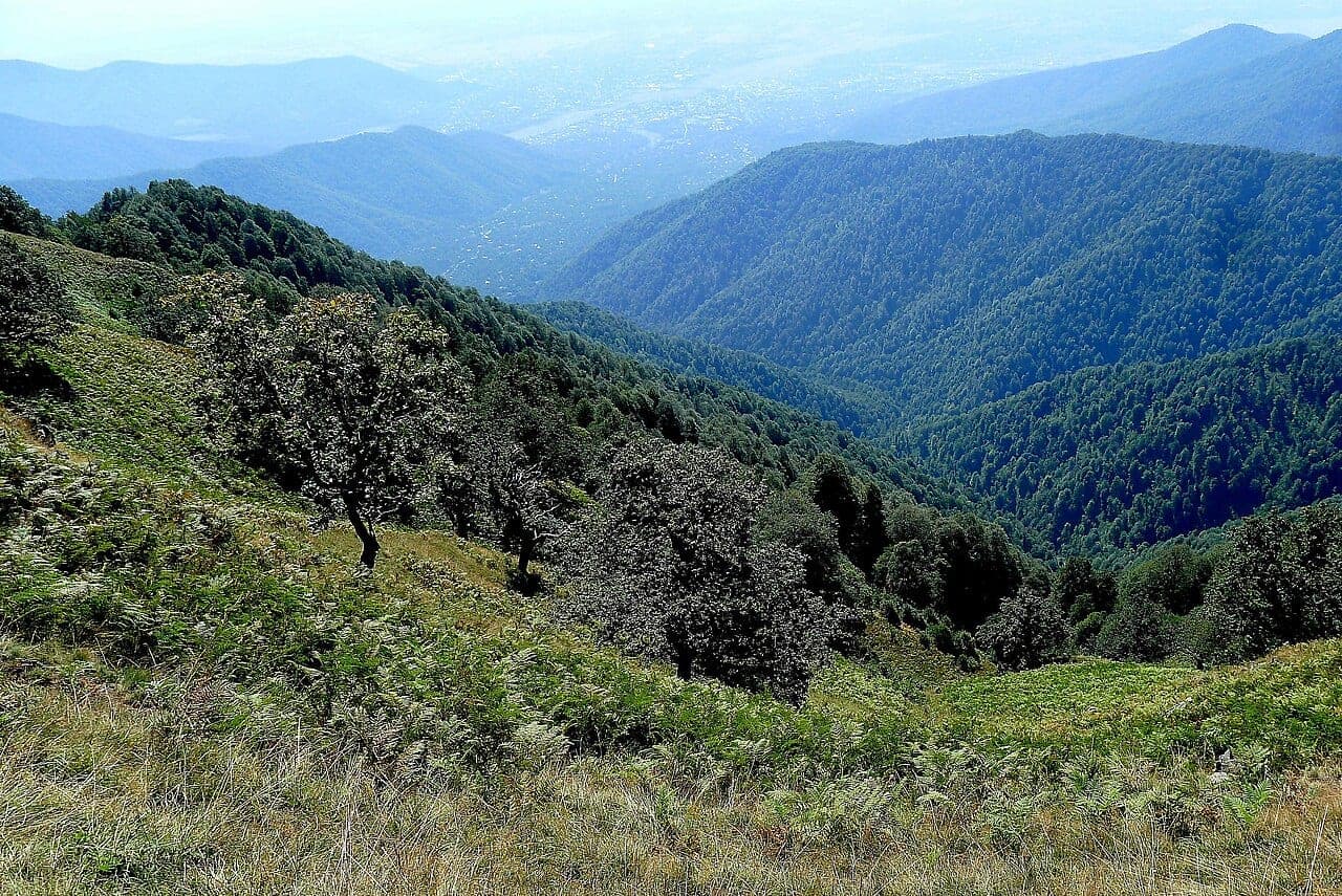 Zaqatalada meşəli ərazidə dincəlik evi