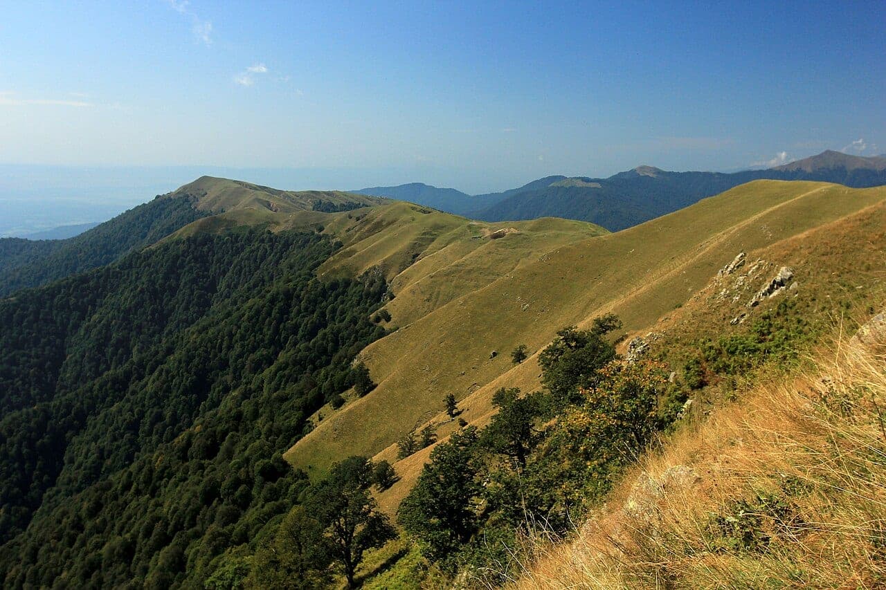 Zaqatalada meşəli ərazidə dincəlik evi