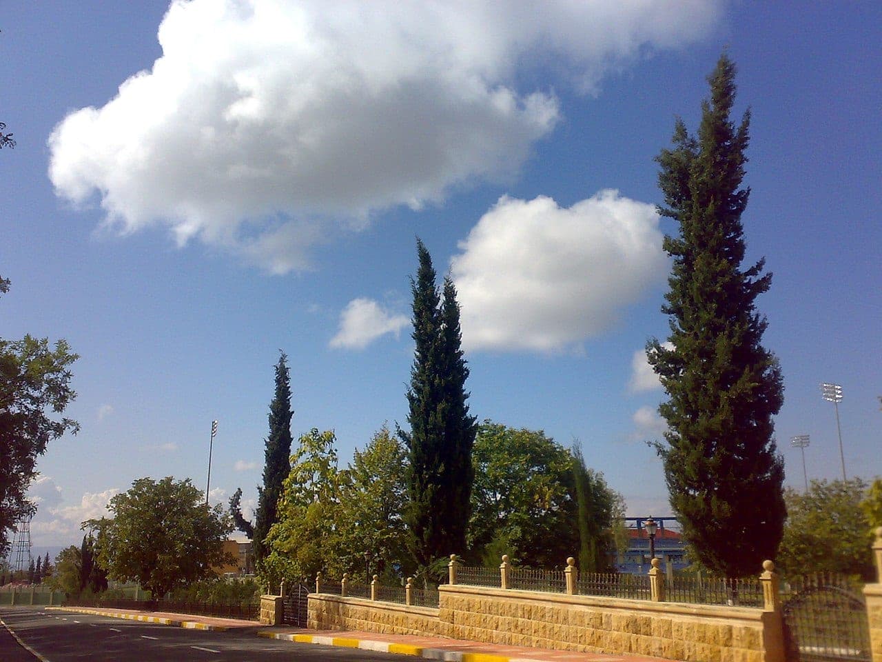 Zaqatalada meşəli ərazidə dincəlik evi