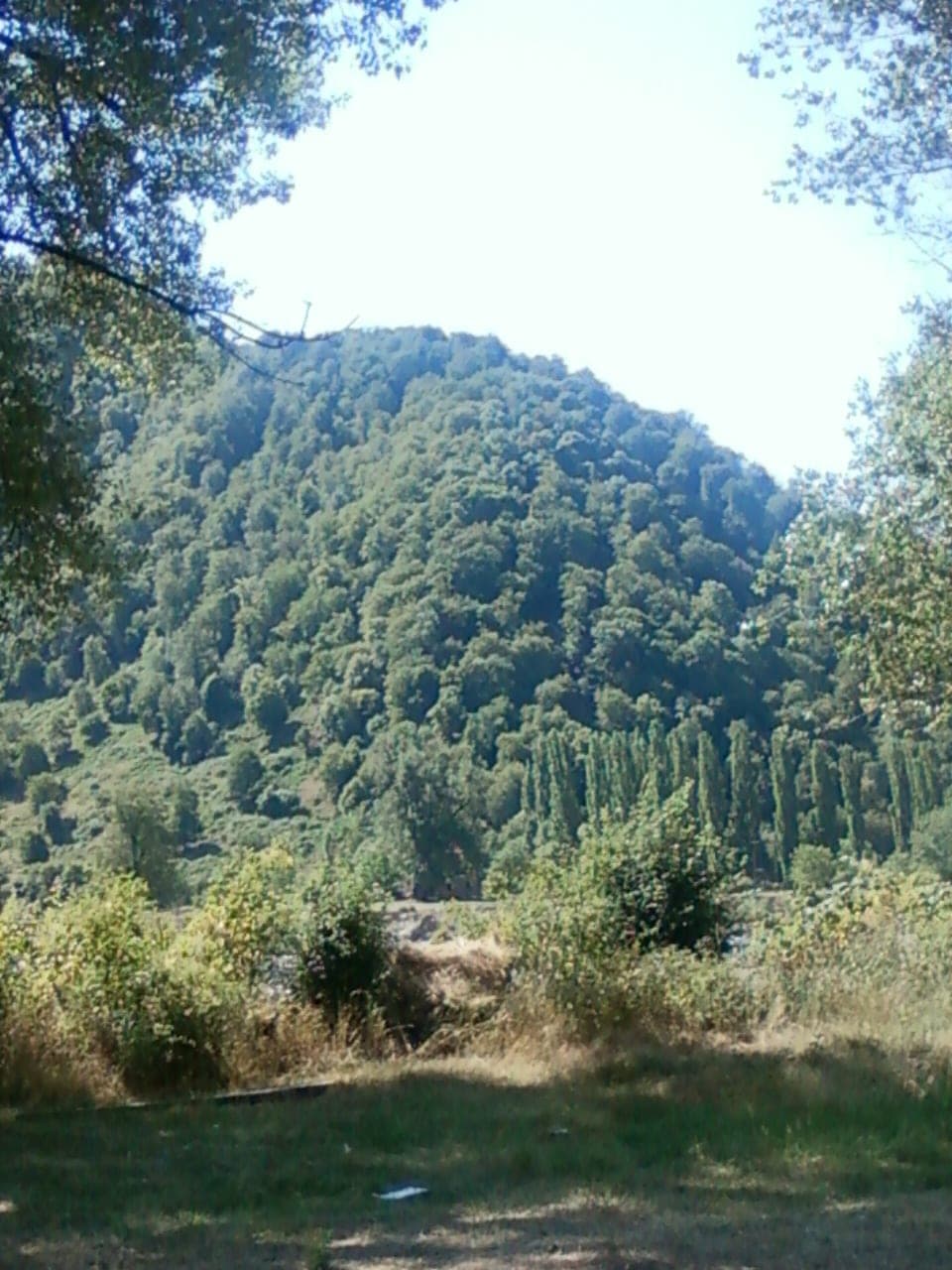 İsmayıllıda İvanovka kəndində kənd evi