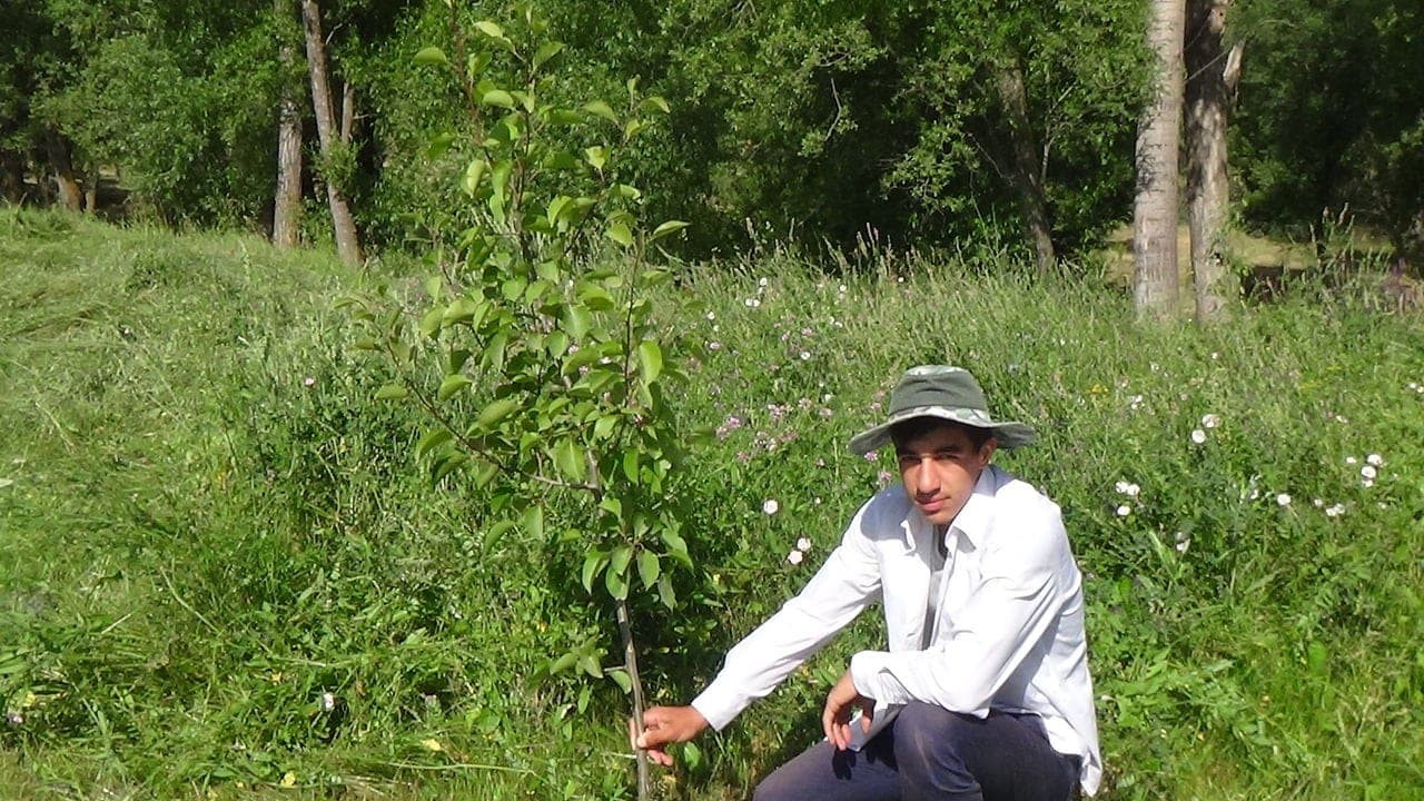Lerikdə uzunömürlülər kəndində dağ evi