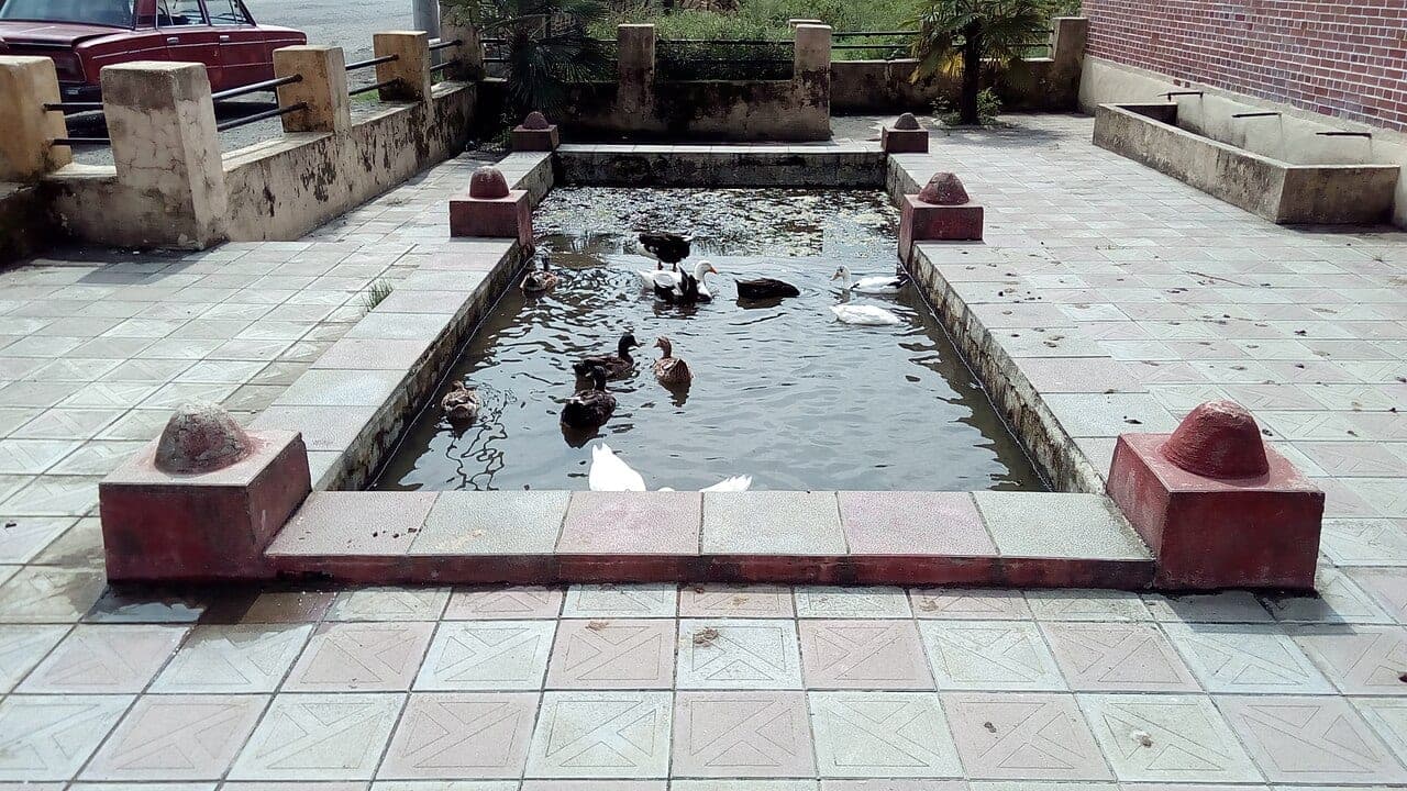 Xəzər Sahili Balıq Evi