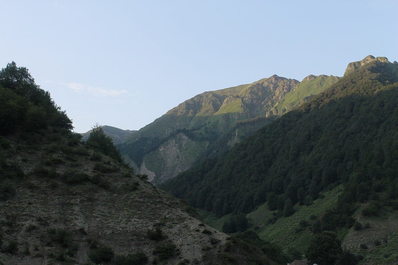Qəbələdə hovuzlu meşə kənarı villa