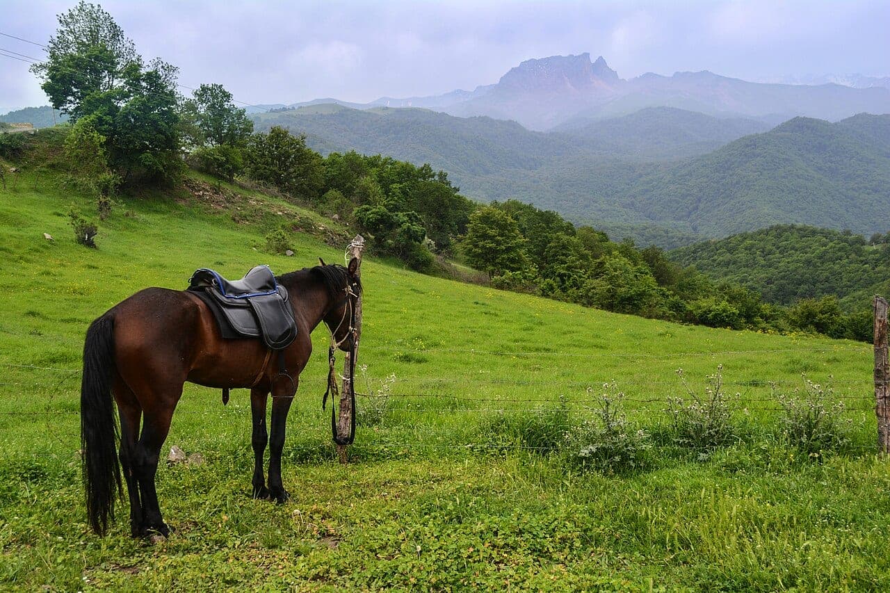 Qusarda At Belində Dağ Gəzintisi