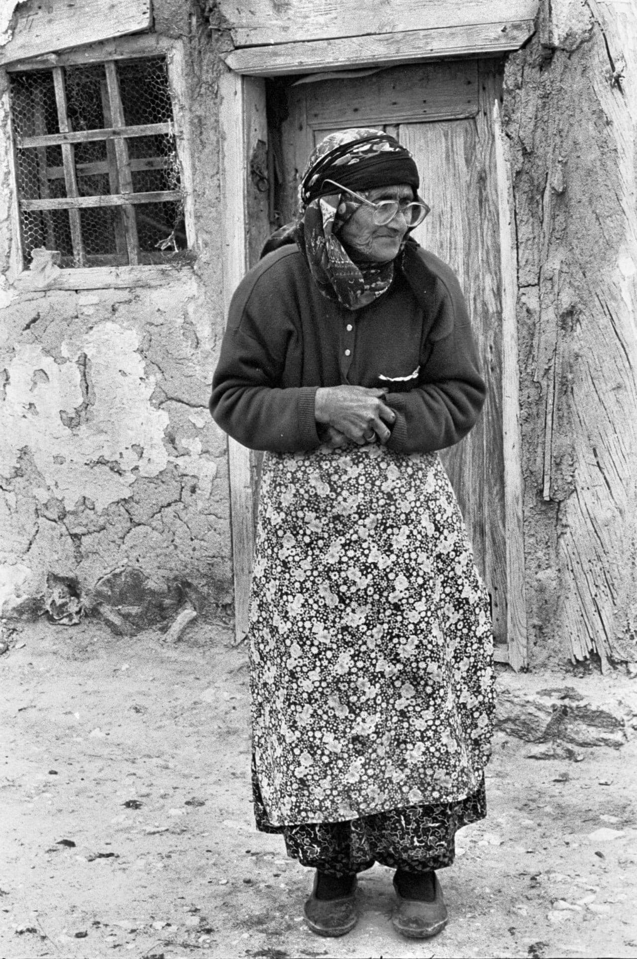 Lənkəranda çay bağı içində qonaq evi