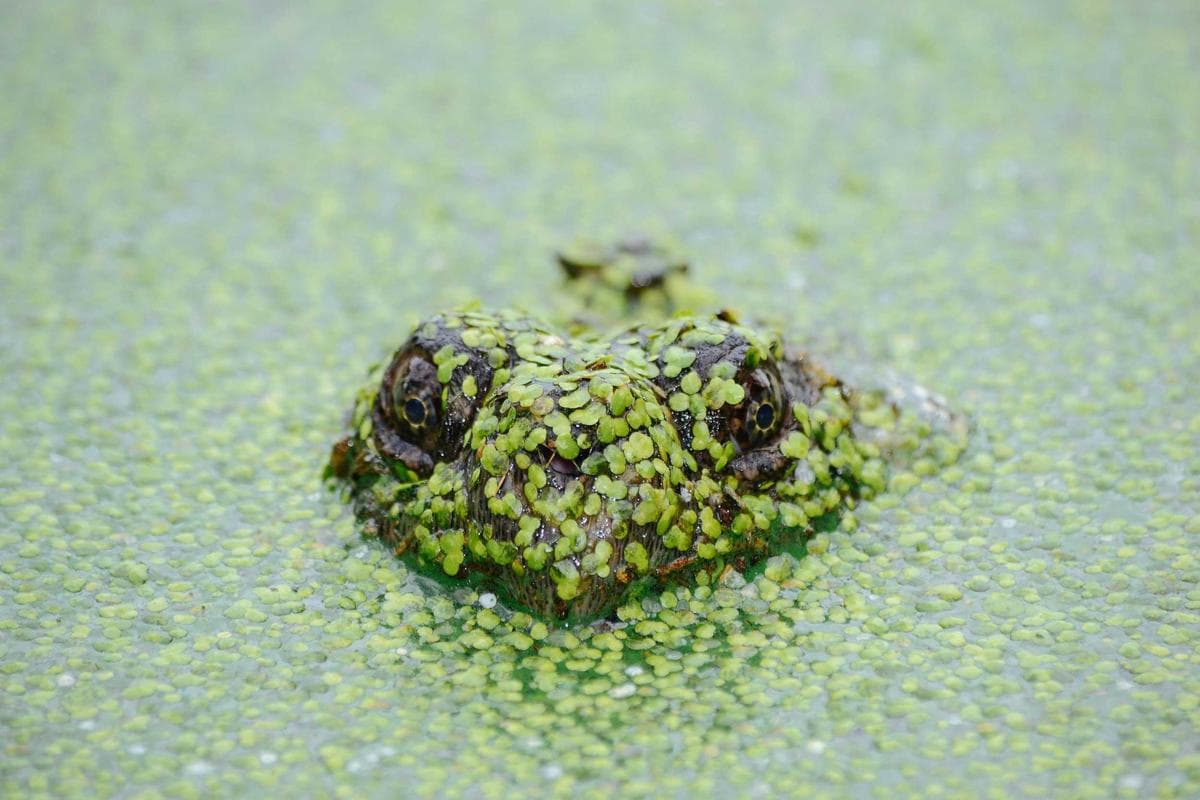 Tam təchizatlı mətbəx